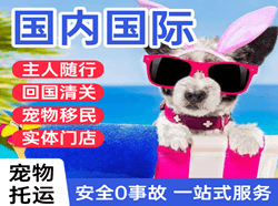 音布鲁克航空运输国际宠物托运 【国